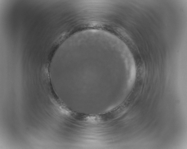 X0000068740415200605192350