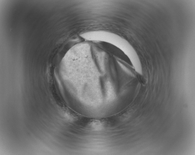 X0000068740416200605192350