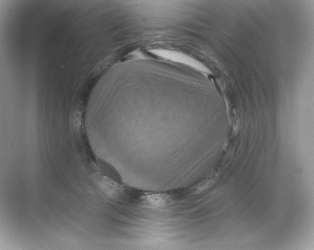 X0000068740417200605192350