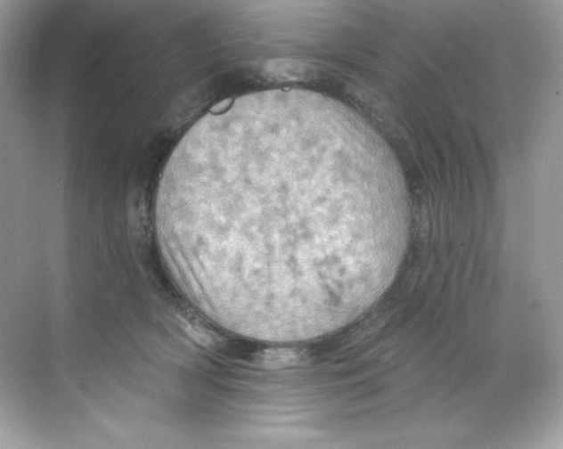 X0000068740418200605192350