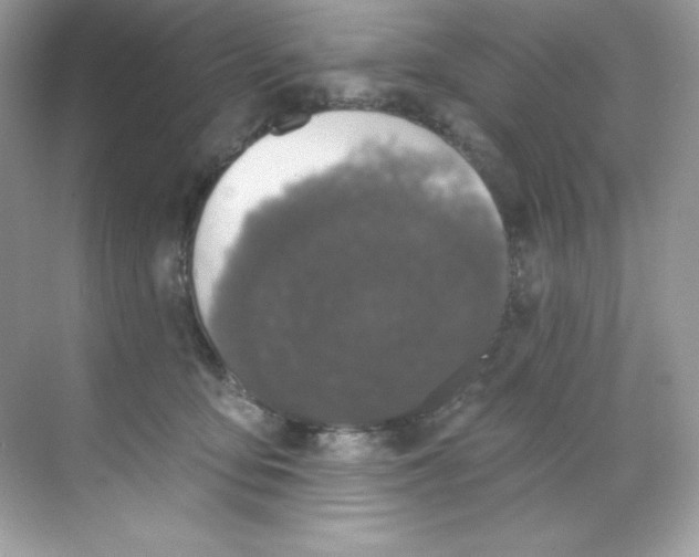 X0000068740419200605192350