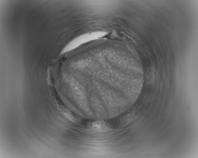 X0000068740420200605192350