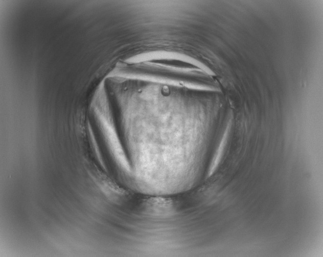 X0000068740421200605192350