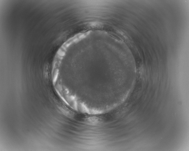 X0000068740423200605192350