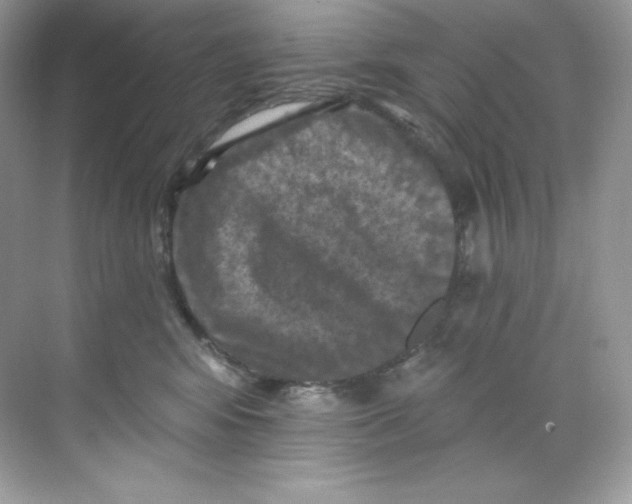 X0000068740424200605192350