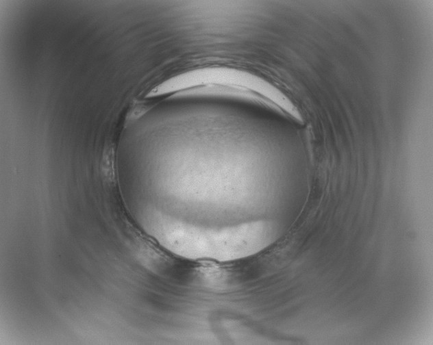 X0000068740425200605192350