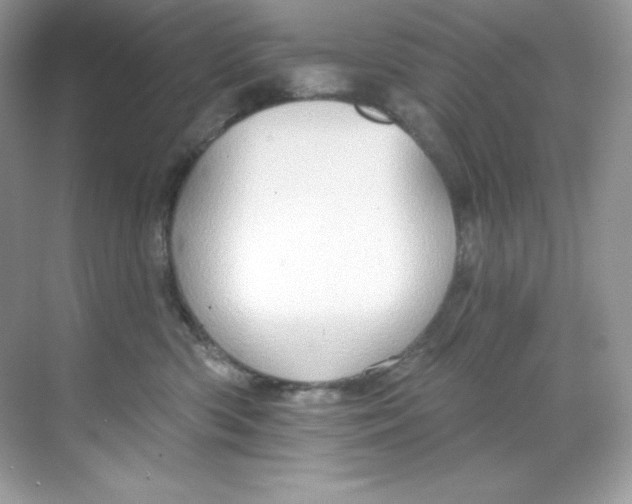 X0000068740426200605192350