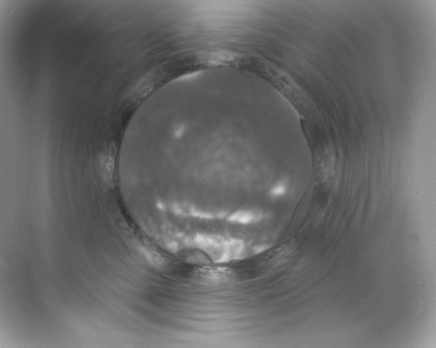 X0000068740427200605192350