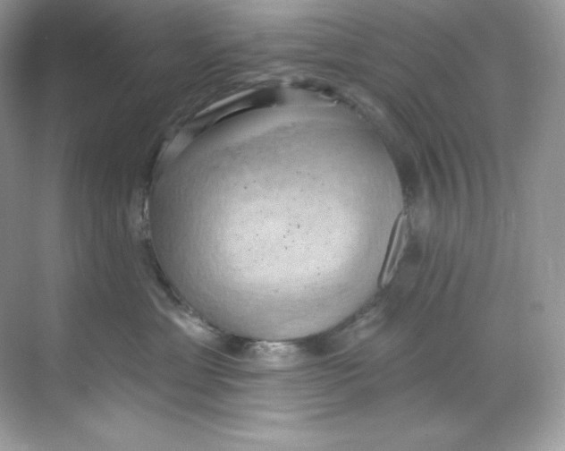 X0000068740429200605192350