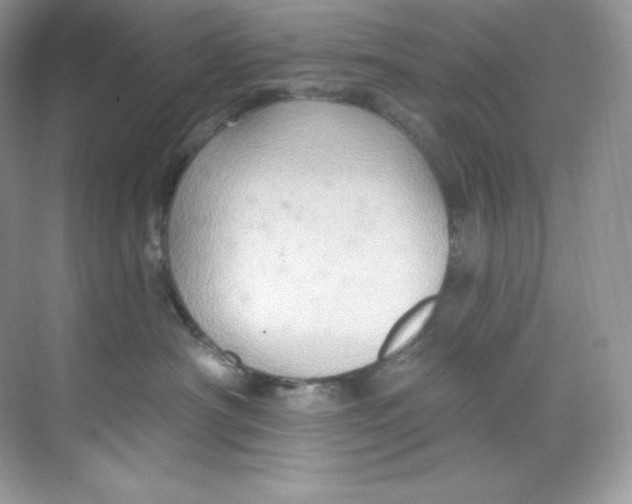 X0000068740430200605192350