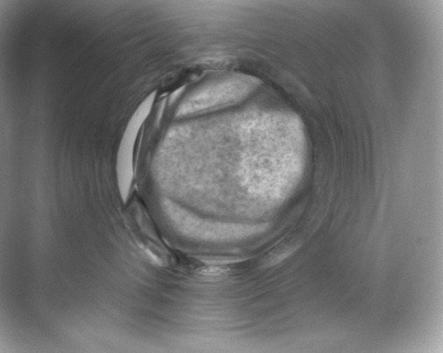 X0000068740432200605192350