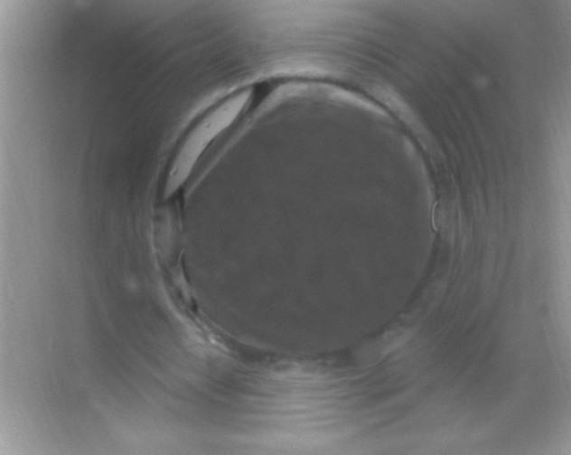 X0000068740434200605192349