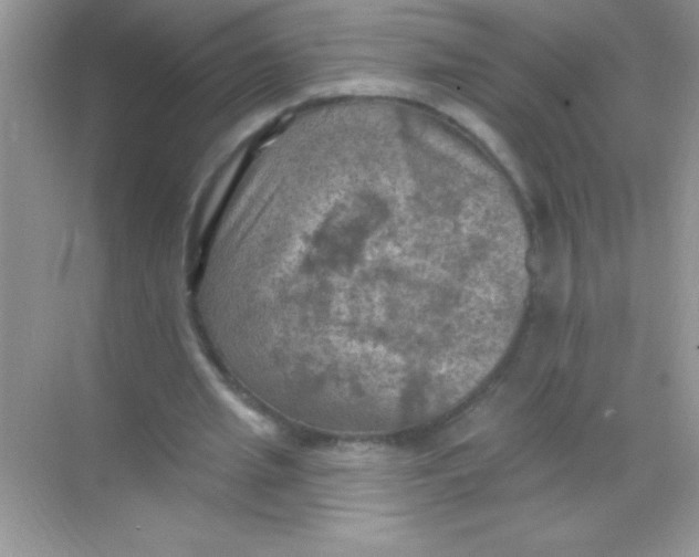 X0000068740437200605192349