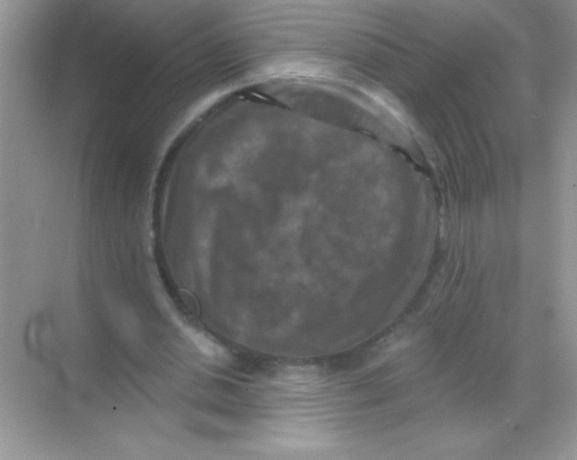 X0000068740438200605192349