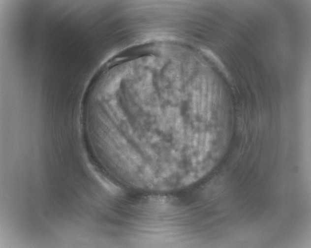 X0000068740439200605192349