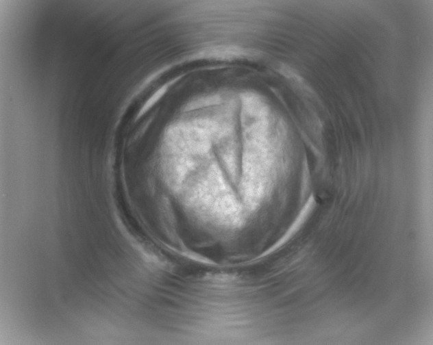 X0000068740440200605192349