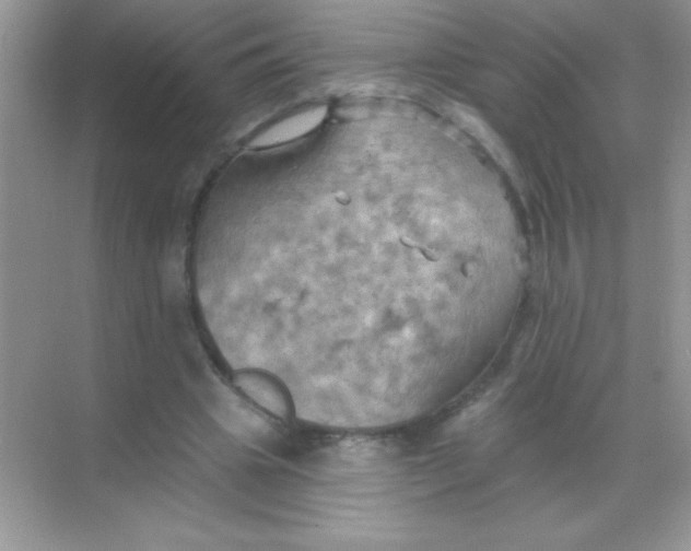 X0000068740441200605192349