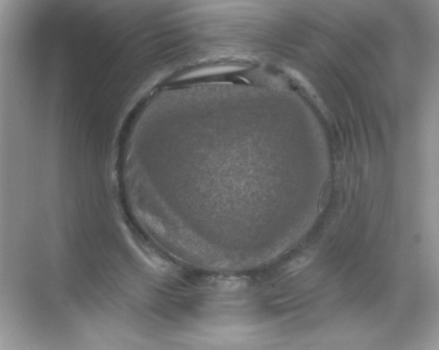 X0000068740443200605192349