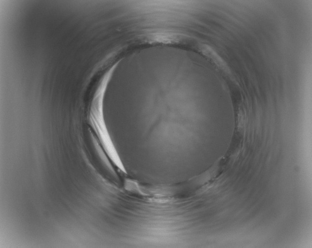 X0000068740444200605192349