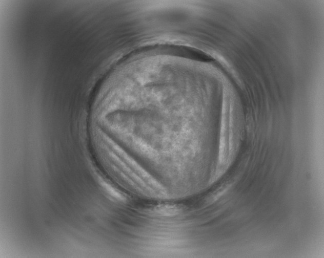 X0000068740445200605192349