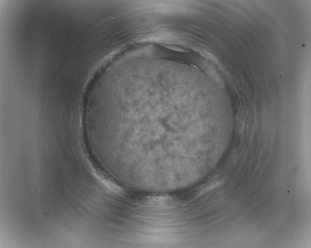 X0000068740446200605192349