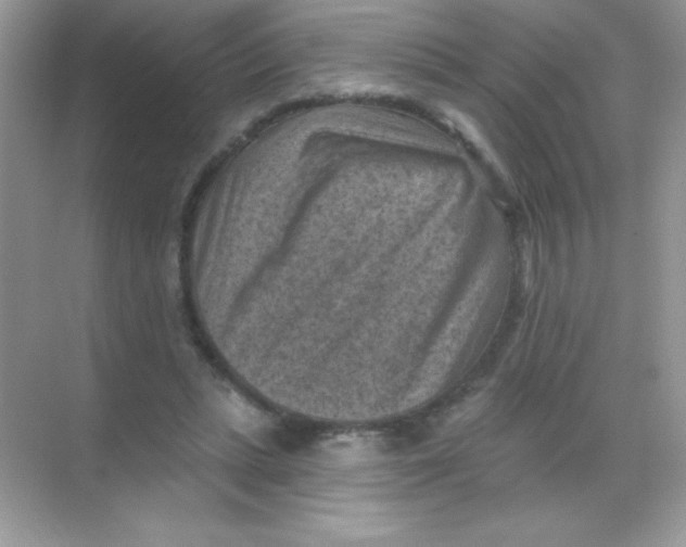 X0000068740447200605192349