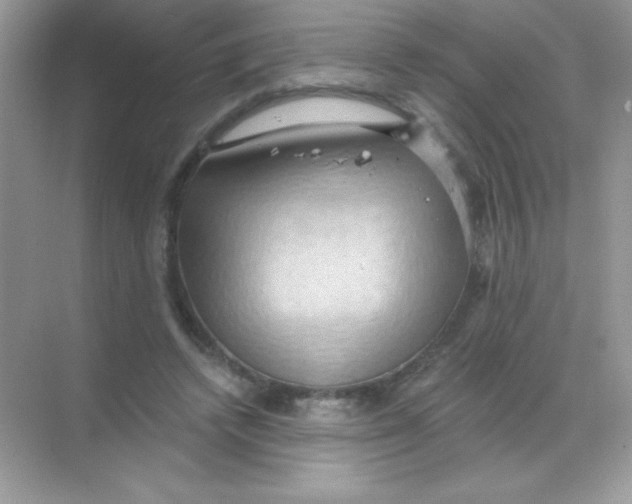 X0000068740448200605192349