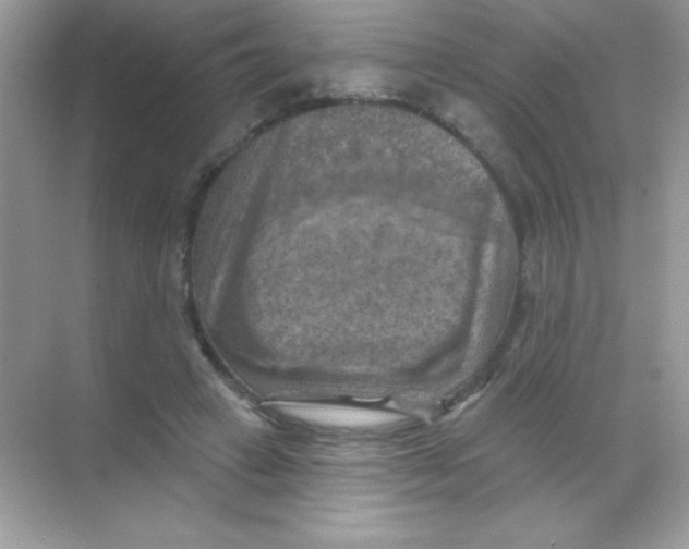 X0000068740449200605192349