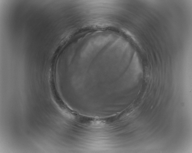 X0000068740451200605192349