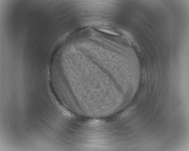 X0000068740453200605192349