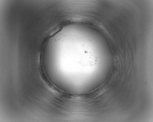 X0000068740454200605192349