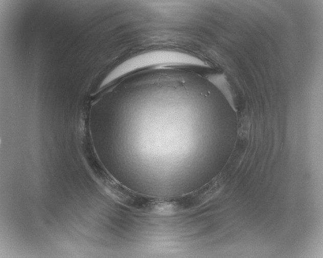 X0000068740456200605192349