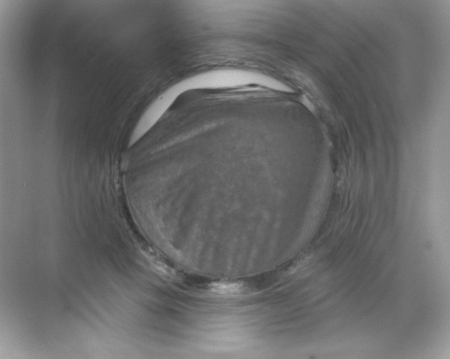 X0000068740457200605192349