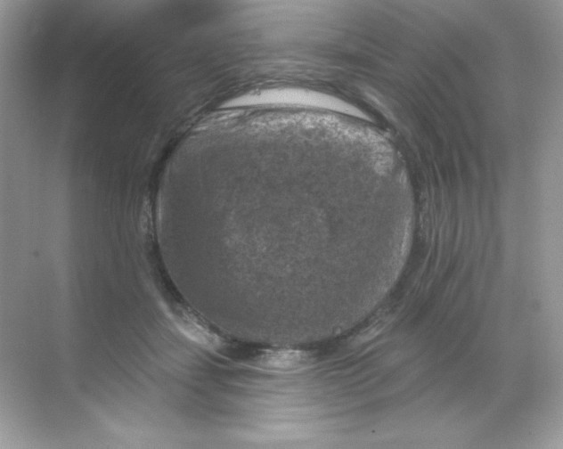 X0000068740459200605192349