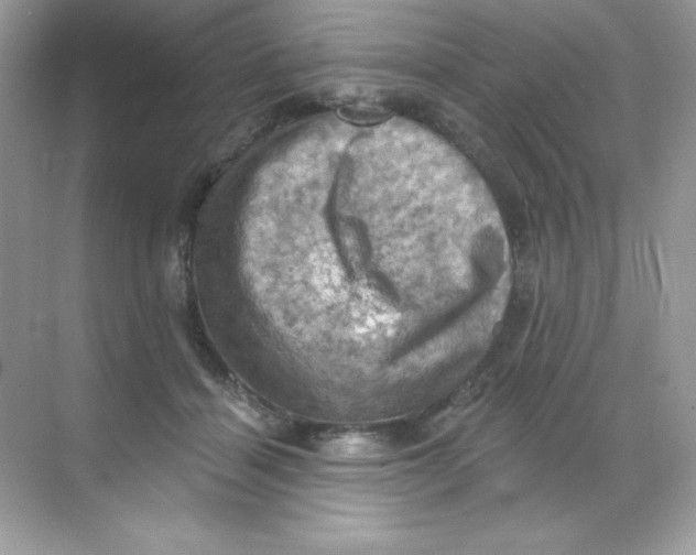 X0000068740460200605192349