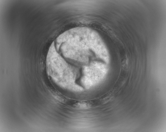 X0000068740464200605192349