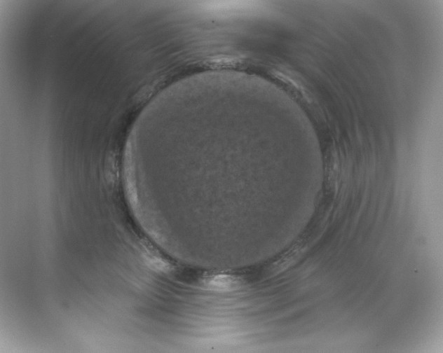 X0000068740467200605192349