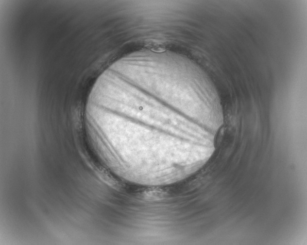 X0000068740468200605192349