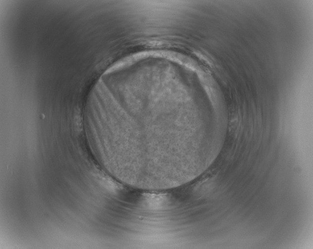 X0000068740469200605192349