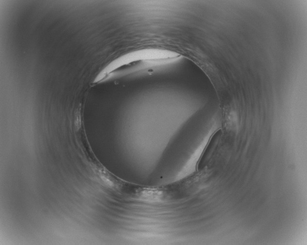 X0000068740471200605192349