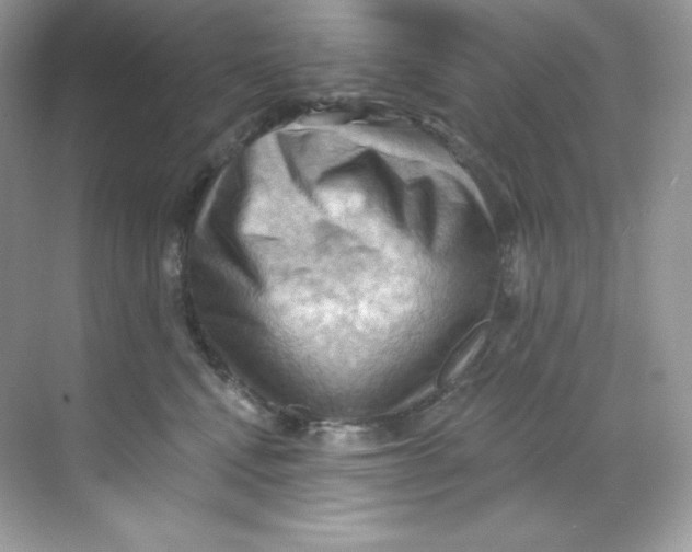 X0000068740472200605192349