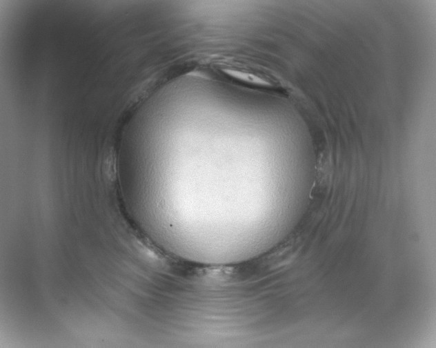 X0000068740474200605192350