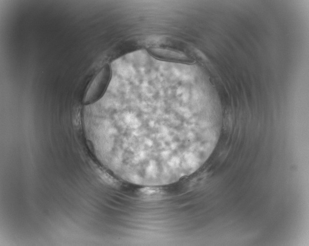 X0000068740477200605192350