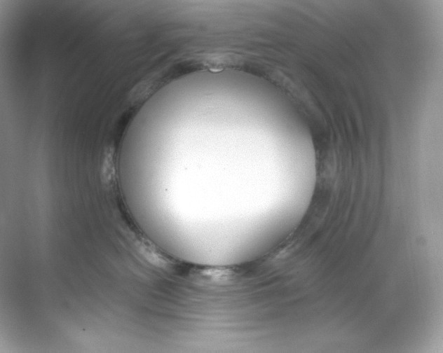 X0000068740478200605192350