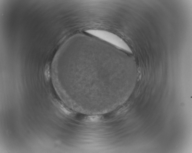 X0000068740479200605192350