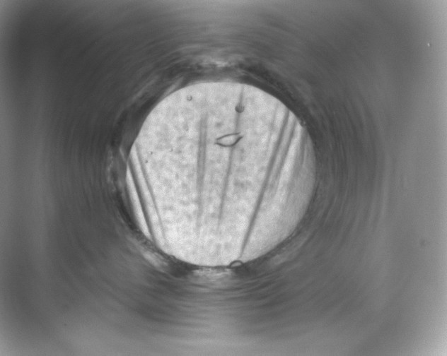 X0000068740480200605192350