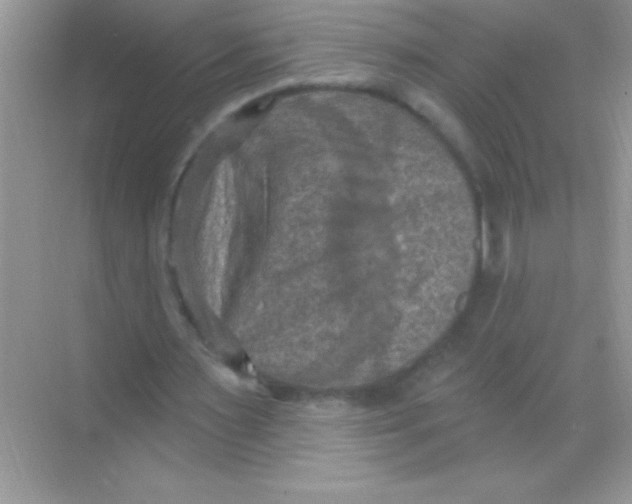 X0000068740483200605192349