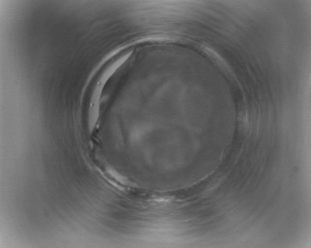 X0000068740484200605192349