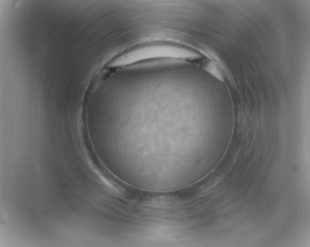 X0000068740485200605192349