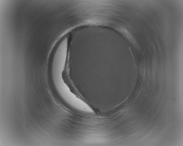 X0000068740488200605192349